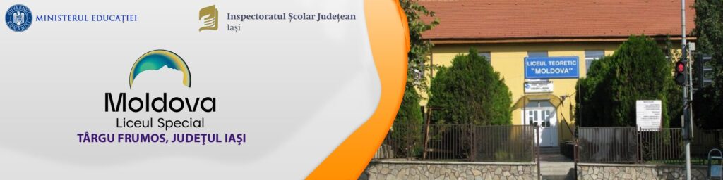 Banner cu logo-ul liceului Moldova, evidențiind culorile și designul modern al instituției.